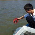 我可能参加了一次“假”的放生！可结果太让人惊诧了！