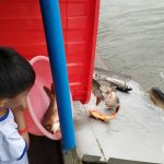 【回顾】2018.6.30蝉友圈公益慈善放生活动圆满举行