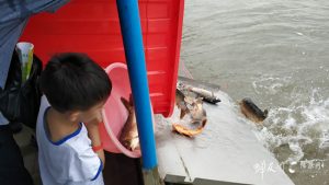 【回顾】2018.6.30蝉友圈公益慈善放生活动圆满举行