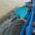 【回顾】欢喜放生 自在素食 蝉友圈2018年8月公益慈善放生活动回顾