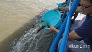 【回顾】欢喜放生 自在素食 蝉友圈2018年8月公益慈善放生活动回顾