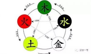 素猫素食——素食菜品研发与五行五味五色养生法则有何关系？