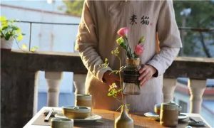 素猫素食——素的沙茶豆腐煲来了！一道菜带你了解中国禅味素食（三）