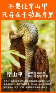 疫痛后，食野味陋习能否绝迹？