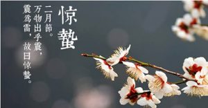 明日惊蛰，素猫素食送大家一份带着春光的食物清单~