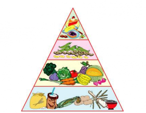 世界无肉日 | 凭什么素食比肉食健康？
