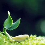 心存敬畏 行有所止 善待大自然，从一份健康的素食开始。——素猫素食