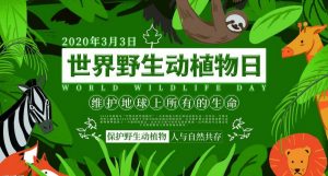 “3.3”世界野生动植物日：维护地球所有生命