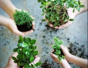 科学家发现：肉比蔬菜对环境的破坏要大35倍 ​​​​