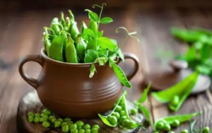 多吃豆类食物，素食者补充营养首选！痛风、尿酸高，到底能不能吃？