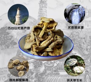 素猫私厨台蘑菌肴|被称为五台山一绝的它，来头居然这么大！