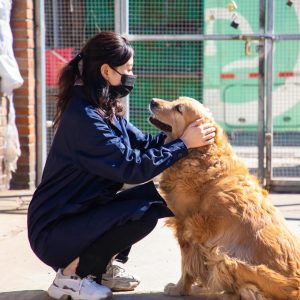 通过了！国家正式规定：猫狗不在畜禽范围内，更强法律之盾保护伴侣动物！